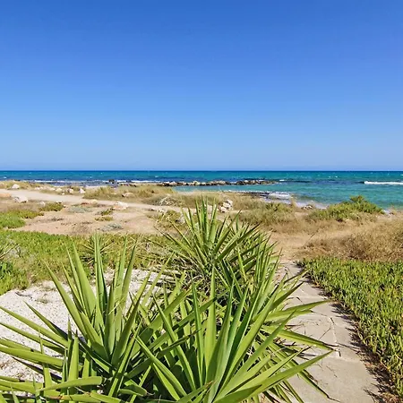 Basil - 50m From Med Sea