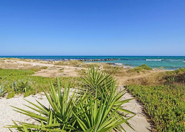 Basil - 50m From Med Sea