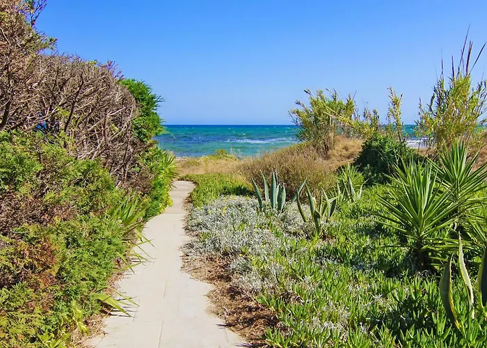 Basil - 50m From Med Sea * アヤナパ